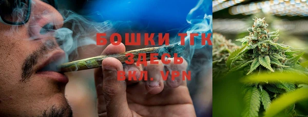 хмурый Вяземский