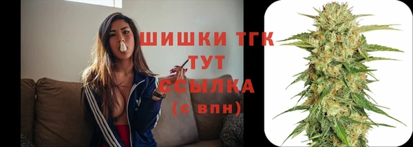 спиды Вязьма
