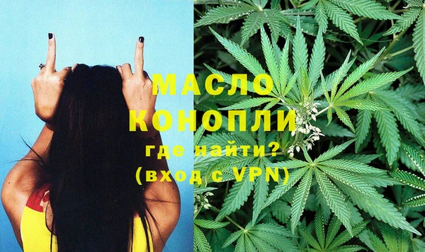 хмурый Вяземский