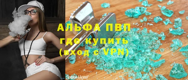 хмурый Вяземский